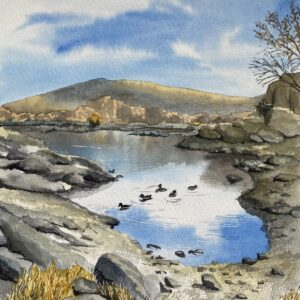 Reflection_of_Paradise